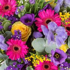 Vibrant Arrangement (Florist&#39;s Choice)
