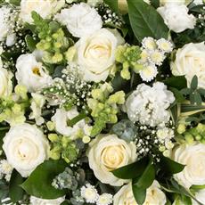 Florist&#39;s Choice - Hand-Tied in Water