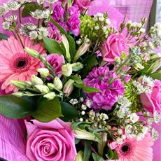 Pretty in Pink