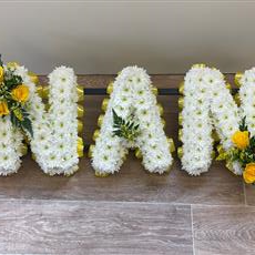 Nan Tribute