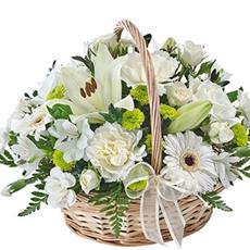 Classic Basket