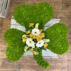 Shamrock