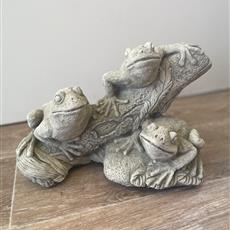 Frogs on log