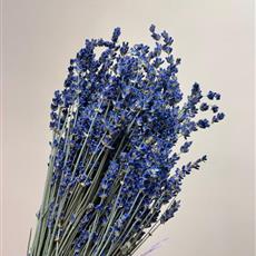 Dried Lavender bunches