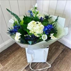 Blue &amp; White