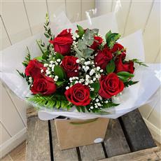 Freedom Roses 