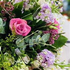 Pink Spring