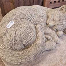 Sleeping Cat 