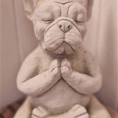 Meditating French Bulldog 
