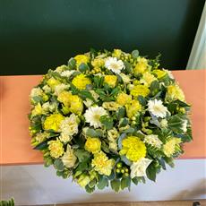 Yellow Posy