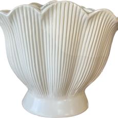 Seashell Vase